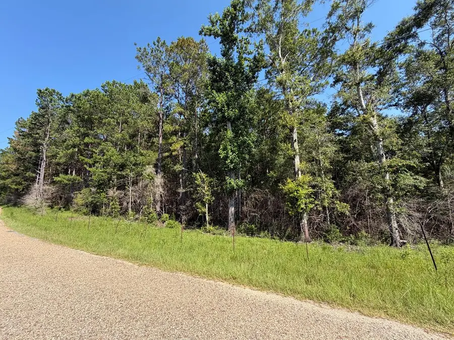 187 Redfish Road, Poplarville, MS 39470 - #3