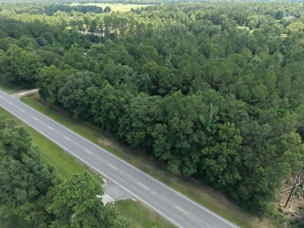 NHN Hwy 43 S, Picayune, MS 39426 - #1