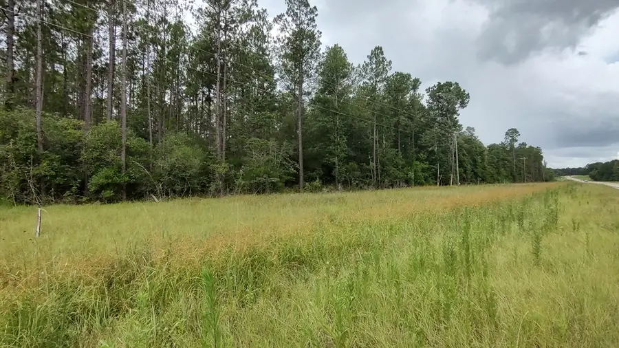 NHN MS 43 N, Picayune, MS 39466 - #2