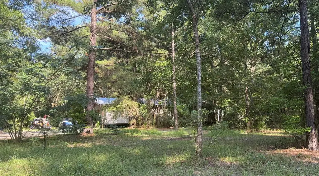 128 Lovell Johnson Road, Picayune, MS 39466 - #1