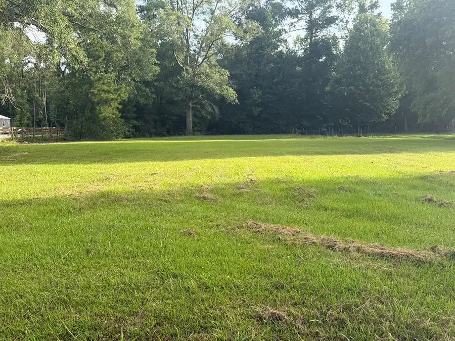 NHN W Sycamore Road, Picayune, MS 39466 - #3