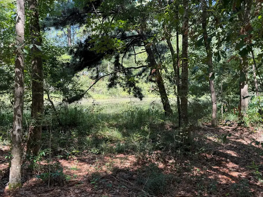11 Skipper Road, Picayune, MS 39466 - #2