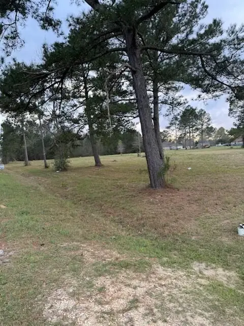 Lot 12 George Wise Rd, Carriere, MS 39426 - #2
