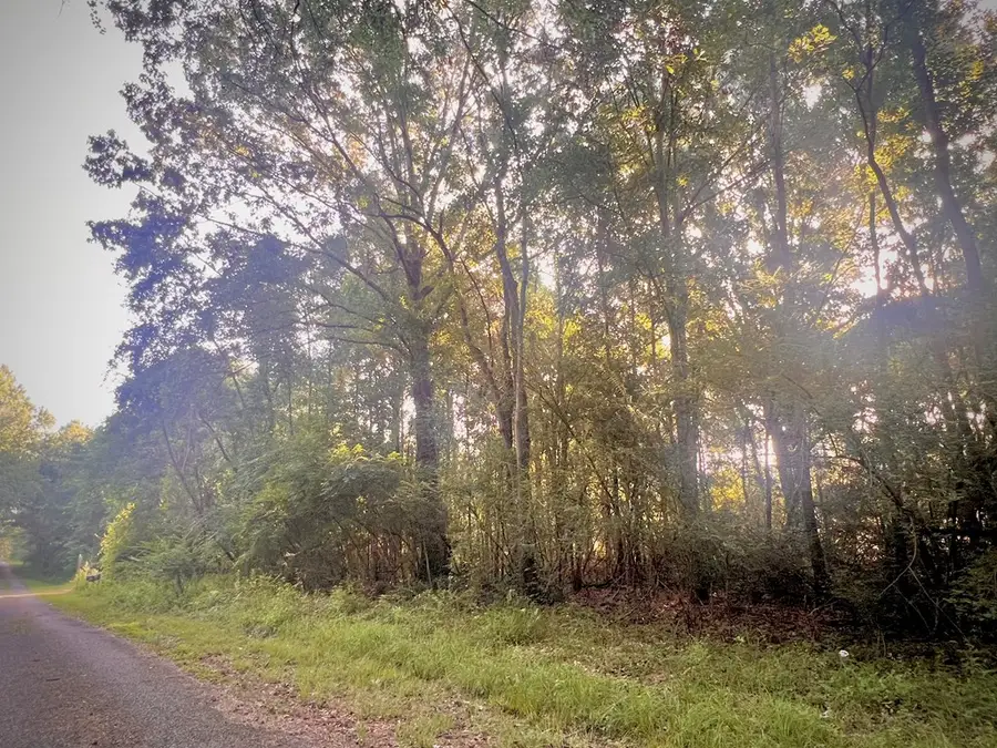 NHN George Bilbo Rd, Lumberton, MS 39455 - #2
