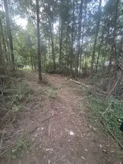 1070 Luawai, Diamondhead, MS 39525 - #2