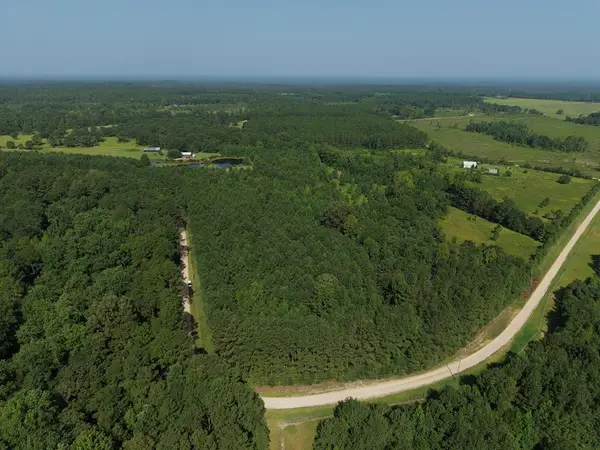 15.06 AC Remington Road, Poplarville, MS 39470
