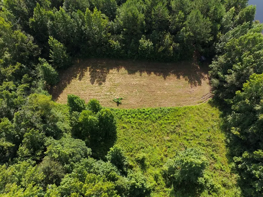 15.06 AC Remington Road, Poplarville, MS 39470 - #3