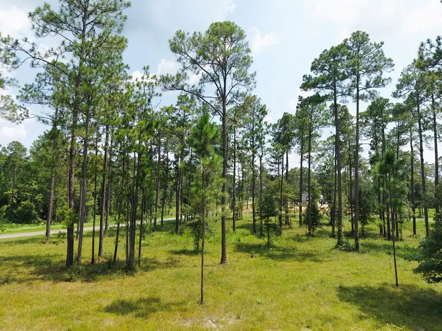 3.38 Cowart Holliday Road, Poplarville, MS 39470 - #3