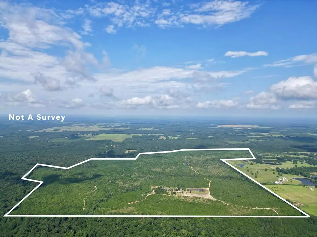 187 Homer Ladner, Poplarville, MS 39470 - #1