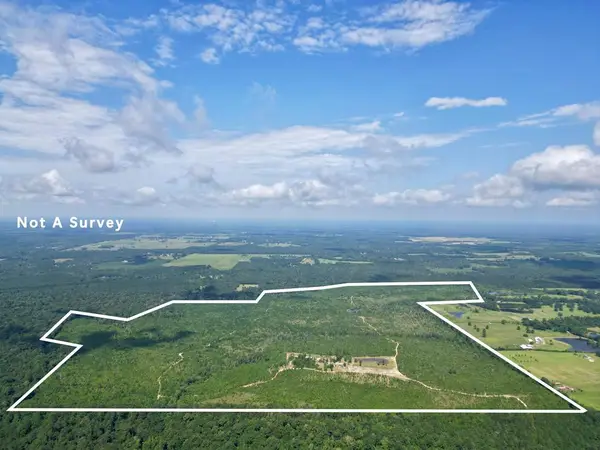 187 Homer Ladner, Poplarville, MS 39470