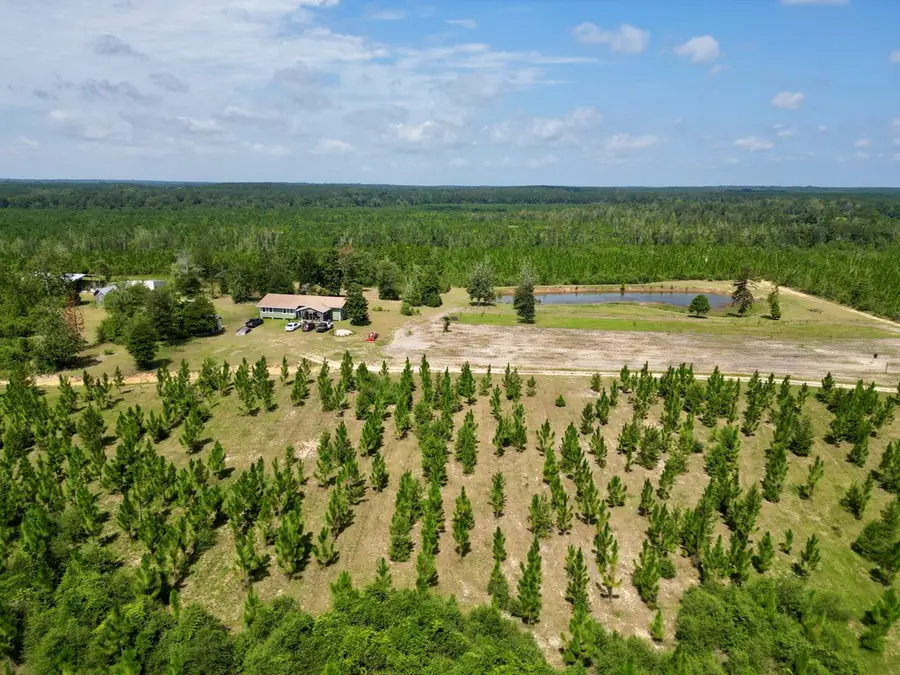187 Homer Ladner, Poplarville, MS 39470 - #3
