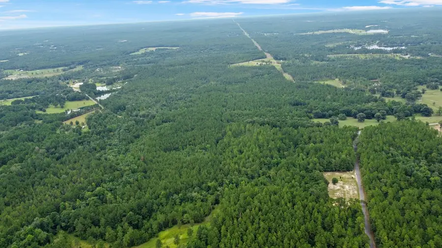 NHN Silver Run-Progress Rd, Perkinston, MS 39573 - #3