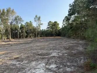 Lot 13/14 George Wise Road, Carriere, MS 39426