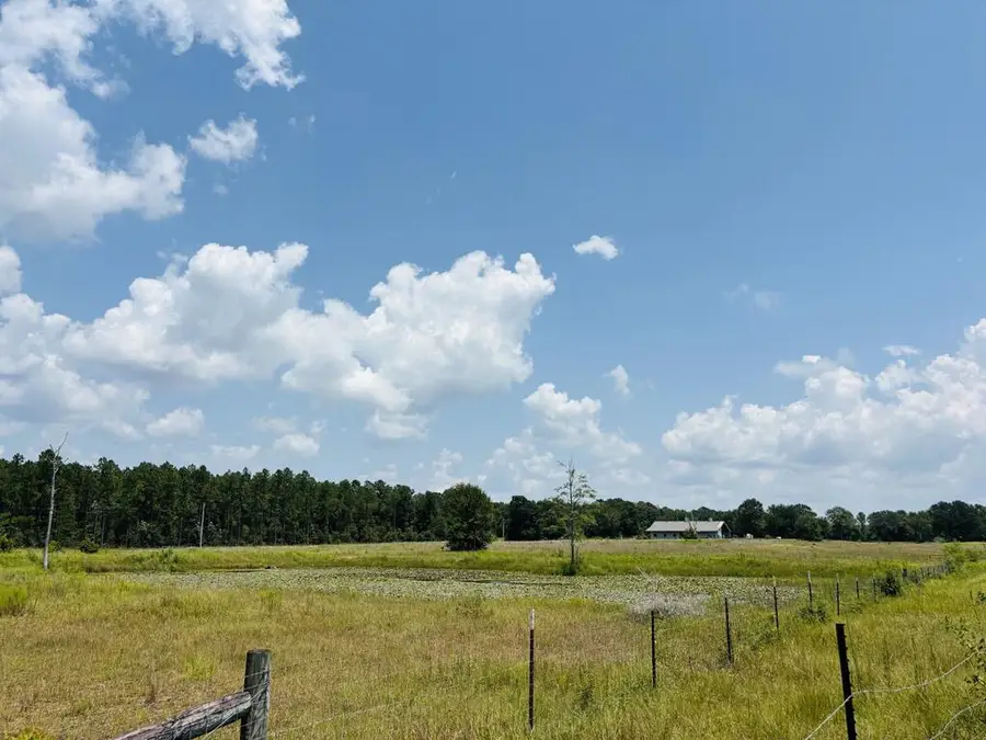 78 Salem Rd., Picayune, MS 39466 - #3