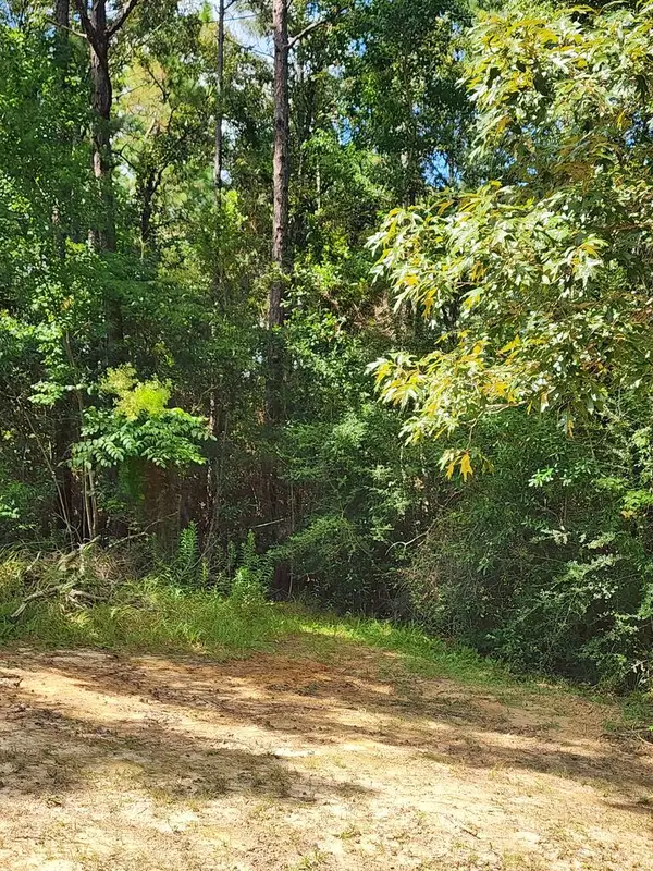TBD McGregor Road, Other, MS 39565