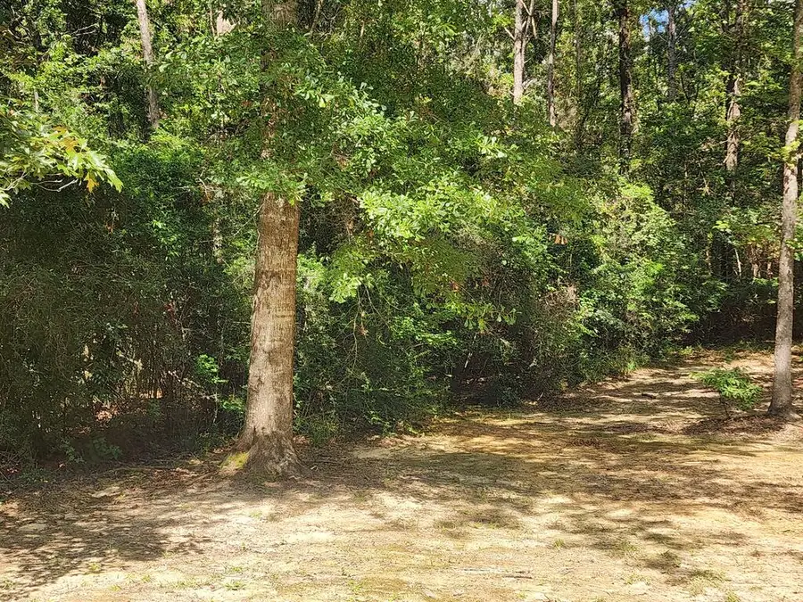 TBD McGregor Road, Vancleave, MS 39565 - #2
