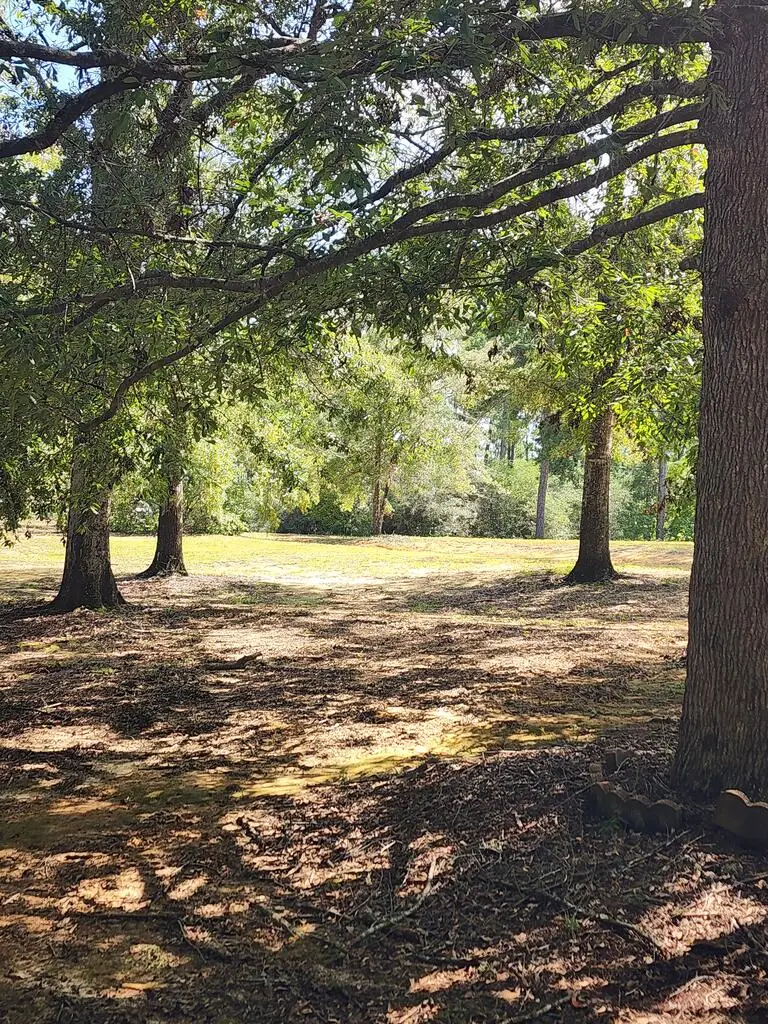 TBD McGregor Road, Vancleave, MS 39565 - #3