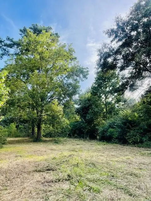 19 Bluebird Dr, Poplarville, MS 39470 - #1