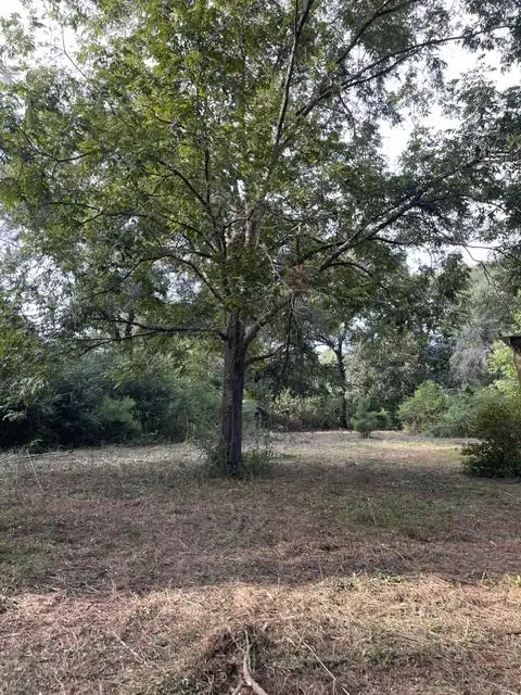 19 Bluebird Dr, Poplarville, MS 39470 - #3