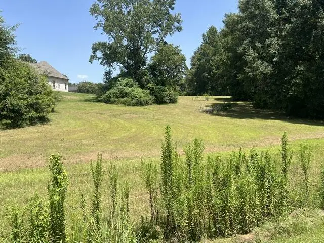 30 Post Oak Dr, Carriere, MS 39426 - #3