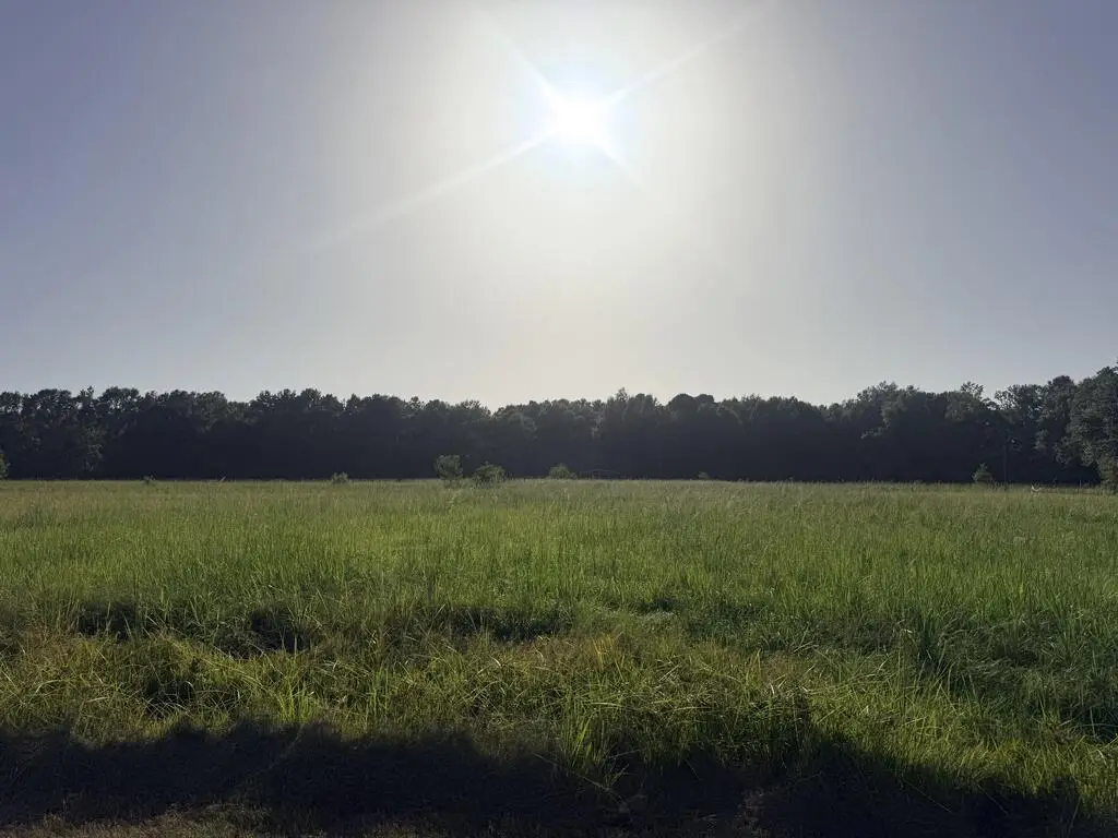 25 Rack Rd Parcel 2, Picayune, MS 39466 - #1