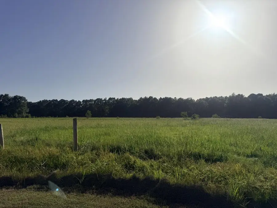 25 Rack Rd Parcel 3, Picayune, MS 39466 - #2