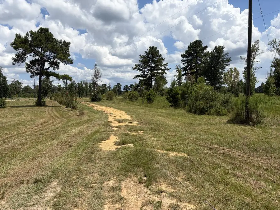 130 Jericho Ridge, Picayune, MS 39466 - #3