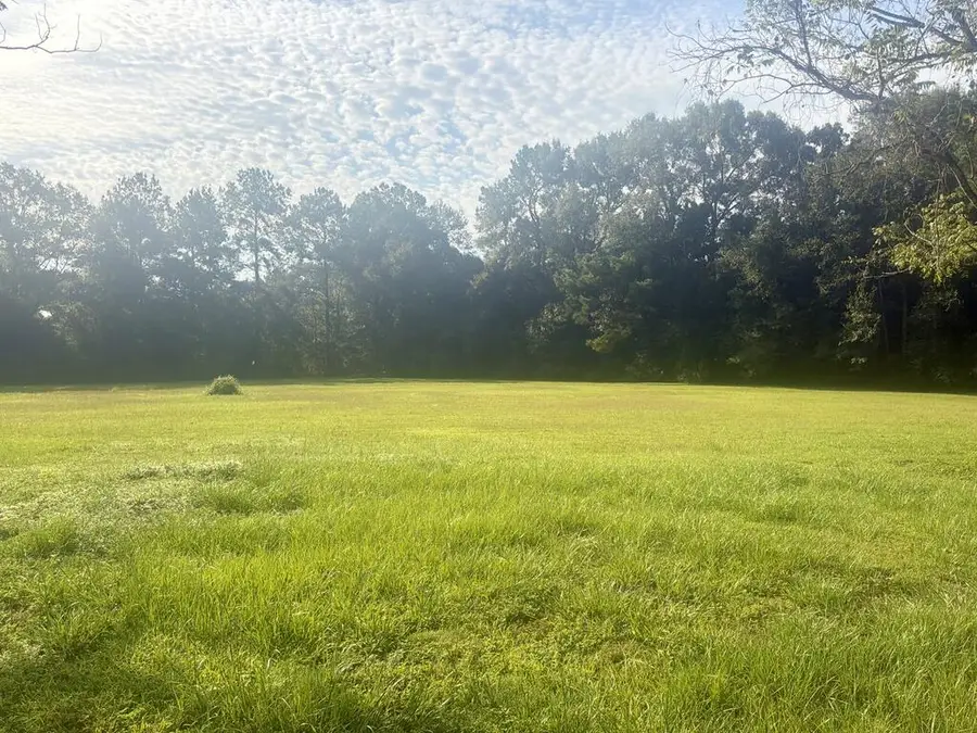 118 Henleyfield McNeill Road, Carriere, MS 39426 - #3