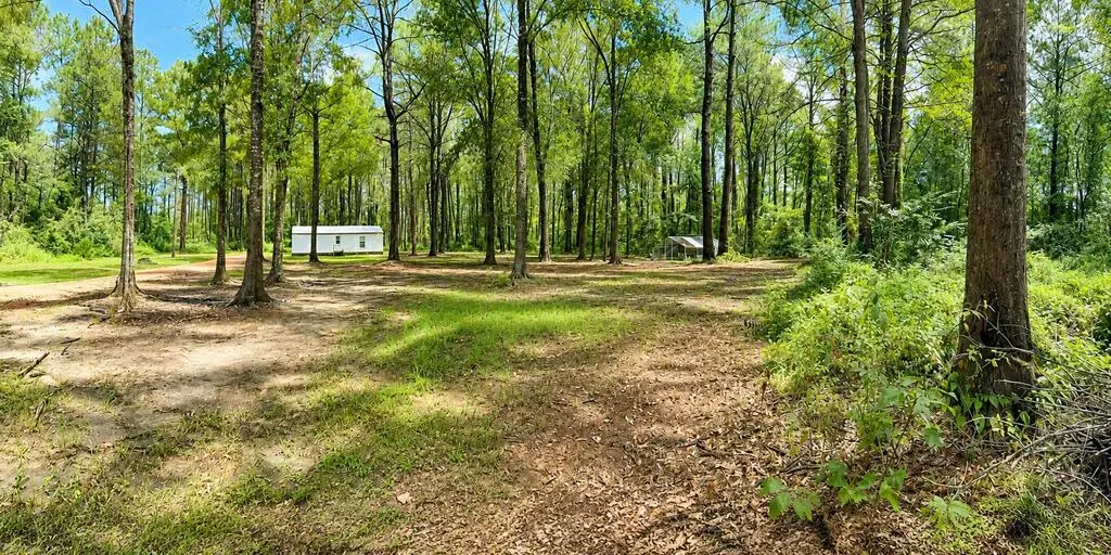 25 Virgil Lewis Rd, Carriere, MS 39426 - #1
