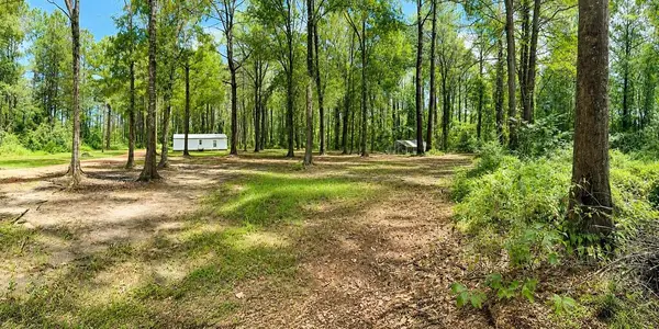 25 Virgil Lewis Rd, Carriere, MS 39426