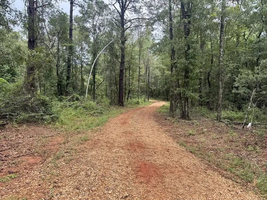 25 Virgil Lewis Rd, Carriere, MS 39426 - #2