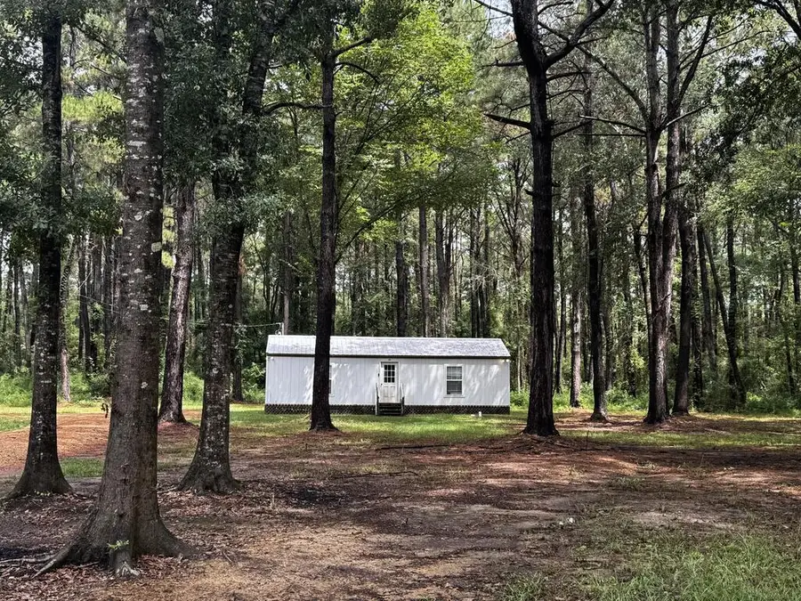 25 Virgil Lewis Rd, Carriere, MS 39426 - #3