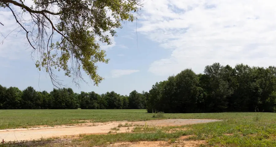 LOT 2 Cooper Rd, Carriere, MS 39426 - #2