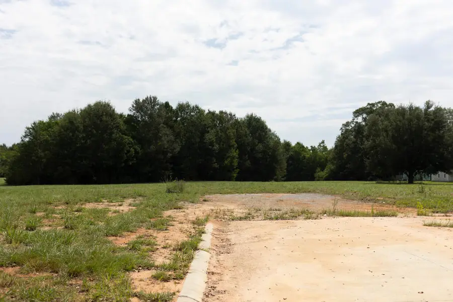 LOT 2 Cooper Rd, Carriere, MS 39426 - #3