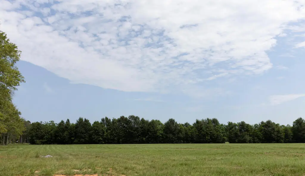 LOT 6 Cooper Rd, Carriere, MS 39426 - #1