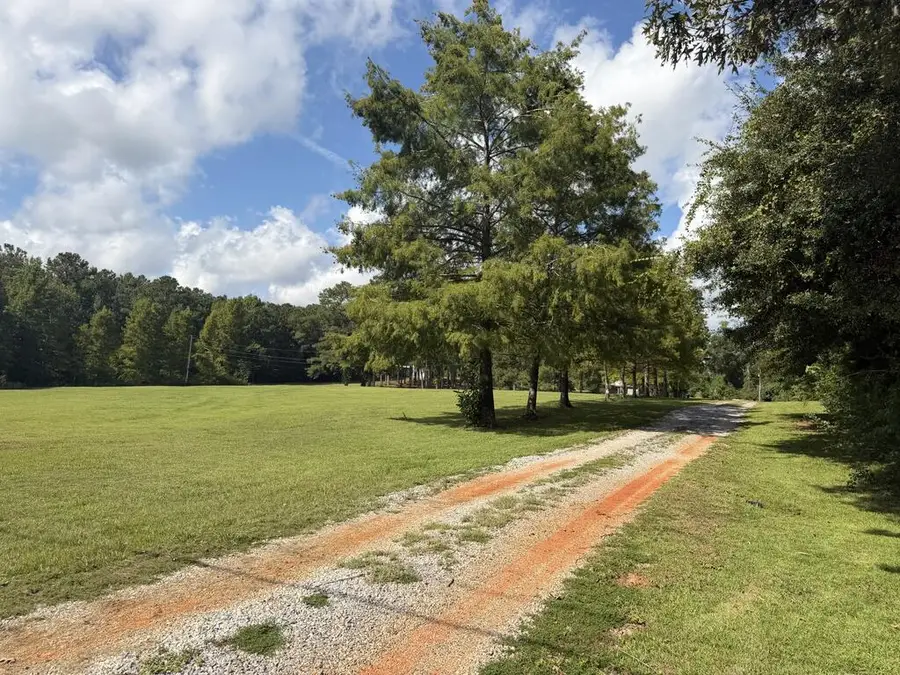 6107 Highway 43 N, Carriere, MS 39426 - #2