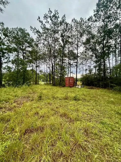 NHN Hwy 11 North, Carriere, MS 39426