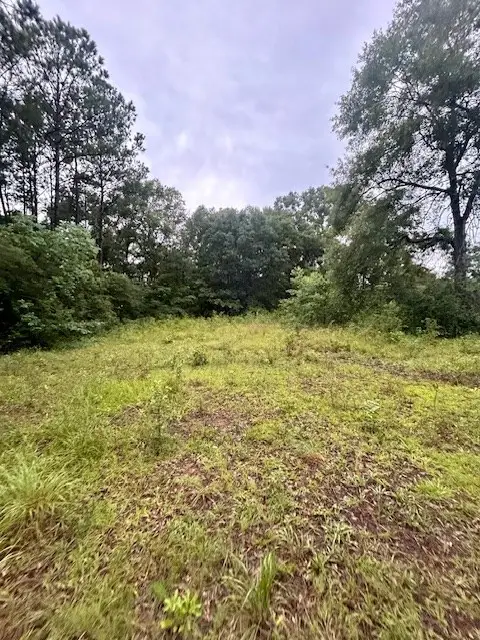 NHN Hwy 11 North, Carriere, MS 39426 - #2