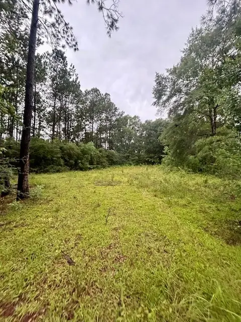 NHN Hwy 11 North, Carriere, MS 39426 - #3