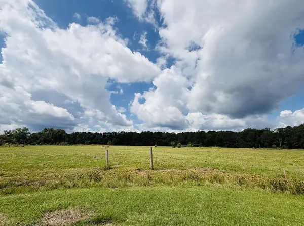 25 Rack Rd Tract 4, Picayune, MS 39466
