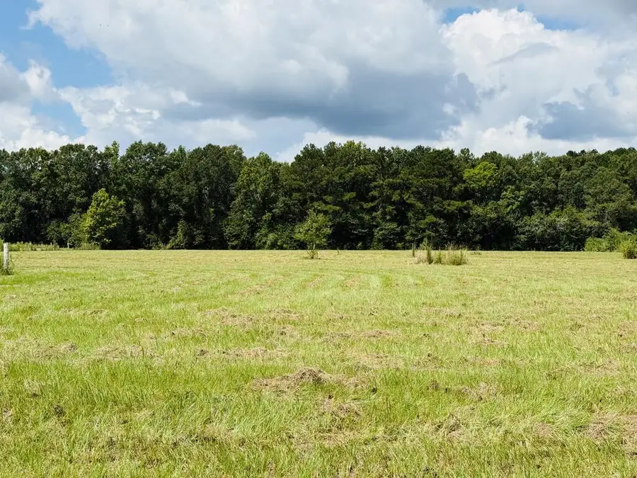 25 Rack Rd Tract 4, Picayune, MS 39466 - #2