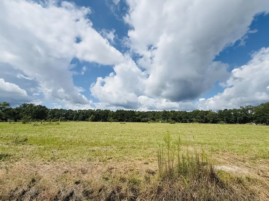 25 Rack Rd Tract 4, Picayune, MS 39466 - #3