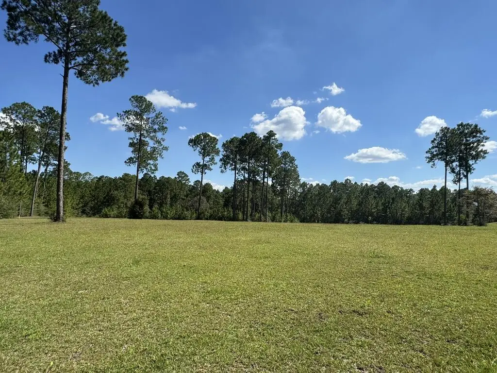 Lot 189 Towering Pines, Carriere, MS 39426 - #1