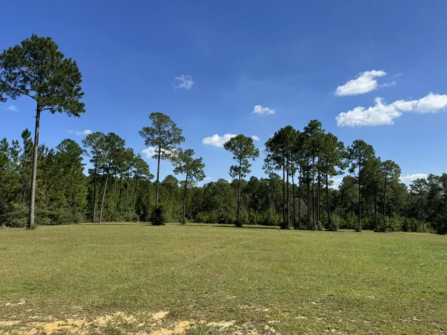 Lot 189 Towering Pines, Carriere, MS 39426 - #2