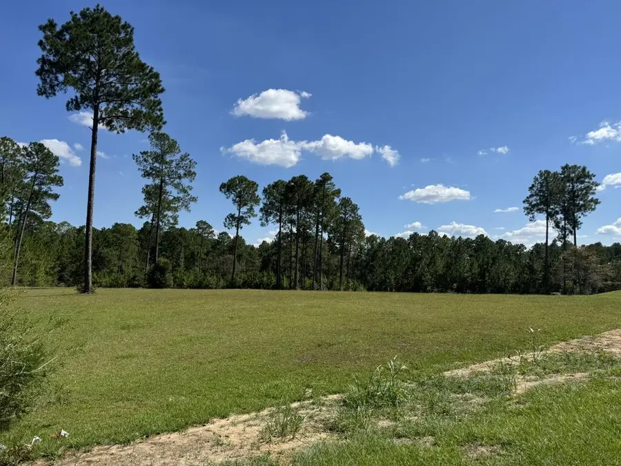 Lot 189 Towering Pines, Carriere, MS 39426 - #3