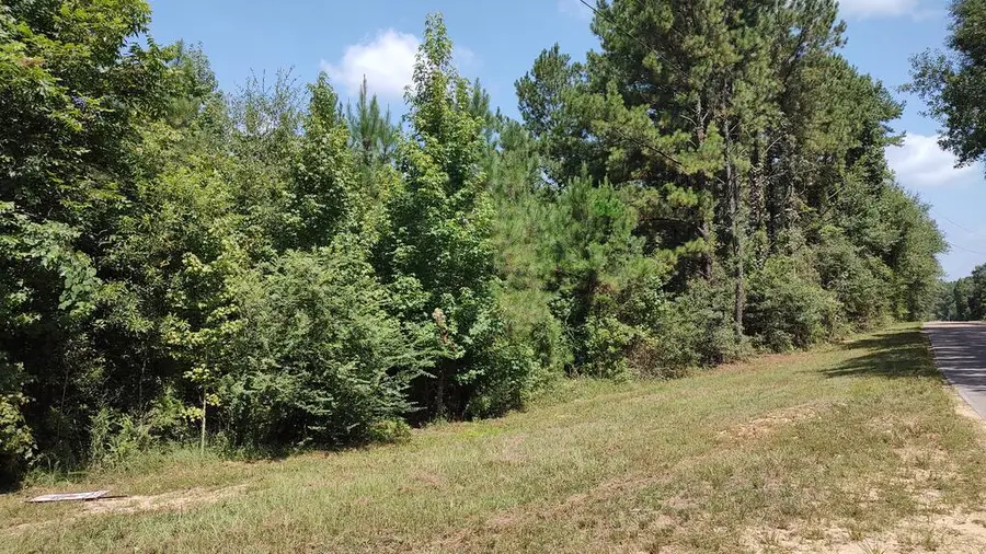 NHN Worth Nall Rd, Lumberton, MS 39455 - #2