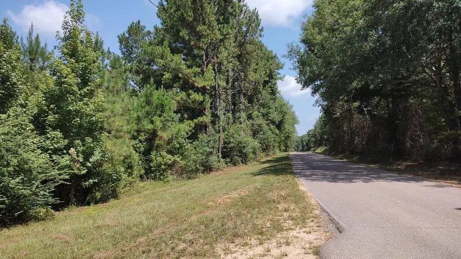 NHN Worth Nall Rd, Lumberton, MS 39455 - #3