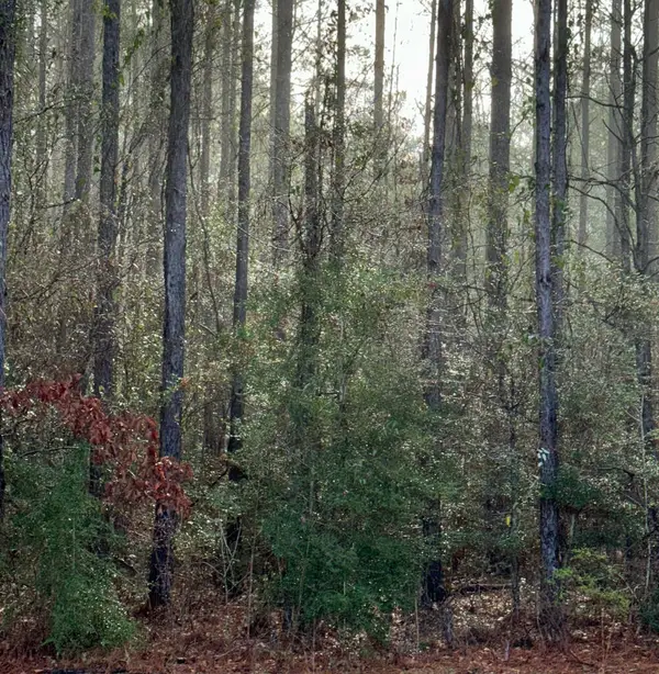 0 W Lakeshore Dr Lot 925 926 927 928 929, Carriere, MS 39426