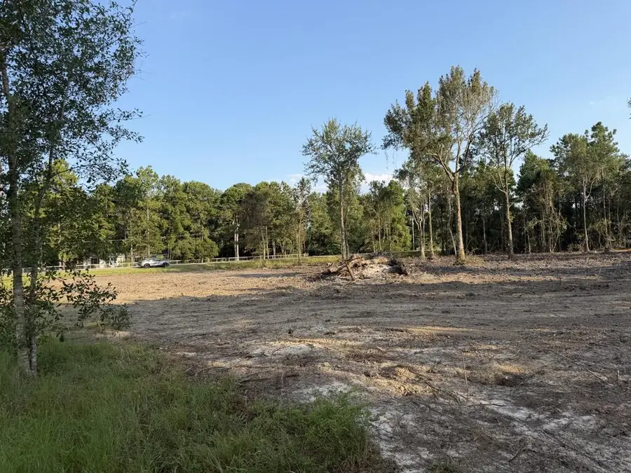 Lot 14 George Wise Road, Carriere, MS 39426 - #2