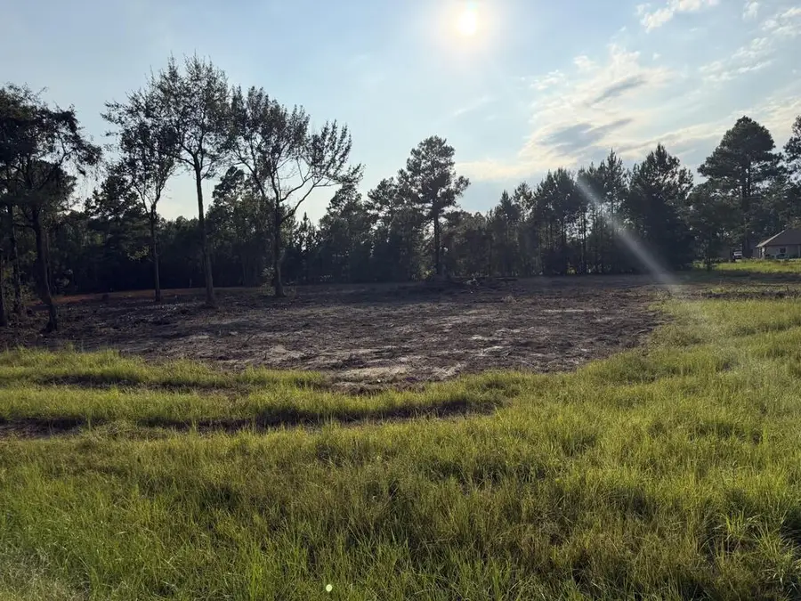 Lot 14 George Wise Road, Carriere, MS 39426 - #3
